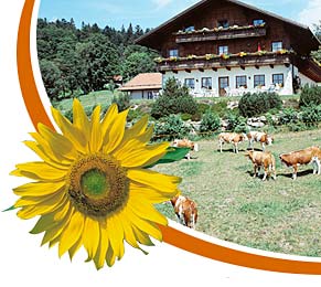Urlaub im Bayerischen Wald